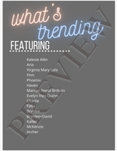 Load image into Gallery viewer, Issue #086 - No Theme