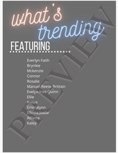 Load image into Gallery viewer, Issue #085 - No Theme