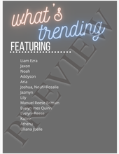 Load image into Gallery viewer, Issue #095 - No Theme