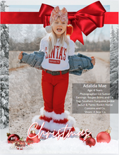 Load image into Gallery viewer, Theme Issue - 2024-12 Christmas