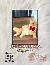 Load image into Gallery viewer, Theme Issue - 2022-07 Pets